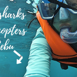 A Very Special Helicopter Ride To See Whalesharks in Oslob